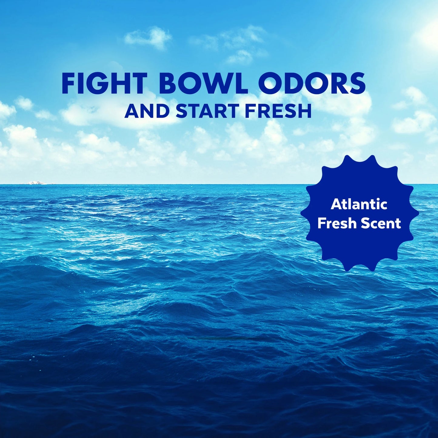 Power Toilet Bowl Cleaner Gels, Atlantic Fresh, 24 Fl Oz